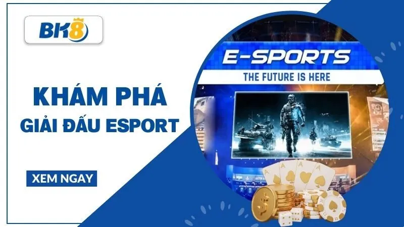 Giải đấu Esport - Nền tảng cốt lõi của thể thao điện tử hiện đại