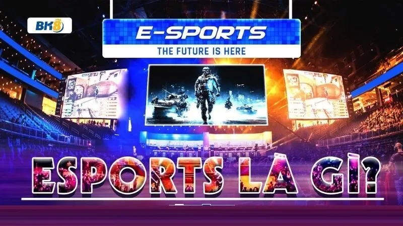 Tổng quan về sảnh Esports Tổng quan về sảnh Esports